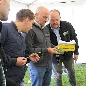 Edward Ensing van Barenbrug liet wederom zien hoe grastypen te herkennen zijn.