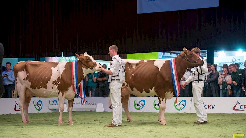 Het kampioensduo van de jonge roodbonten. De krachtige Heerenbrink Dina 382 kreeg net als in de rubriek de voorkeur boven de fijnere Barendonk Paulina 188. Met Drouner AJDH Aiko 1288 als derde op tal vielen alle prijzen in de oudste rubriek van de vaarzen