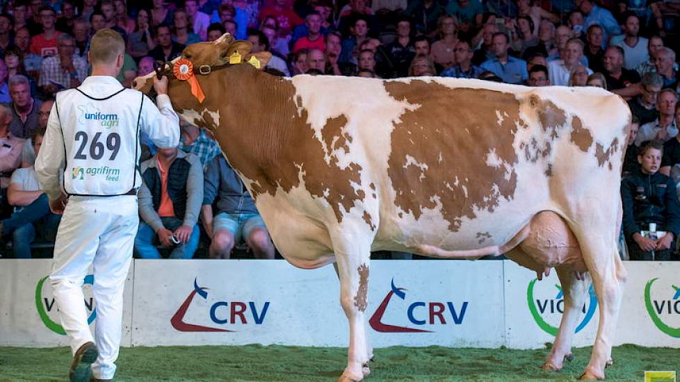 Op 1C liep Savarddochter Twente Dairies José 418 van Harry Tijhuis uit Hooghalen. Daarmee liet ze onder andere de algemeen kampioene van de vorige NRM, Barendonk Brasilera 12, achter zich. Verderop in de rubriek liepen nog de kampioenes van Zwolle (5e) en