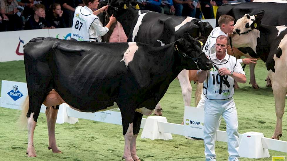 De derde plek was voor de mooitypische Siddochter Bons-Holsteins Koba 209 van Bons.