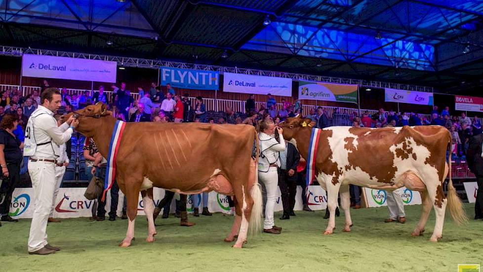 Het duo kampioenes van de roodbonte middenklasse bestond uit de fraaie M.H. Alana 5 (links) die met haar enorme uitstraling kampioene werd en Brook Marie 68. Zowel haar moeder als grootmoeder waren al eens kampioene op de NRM. De fraaie P.M. Elza 159 kree