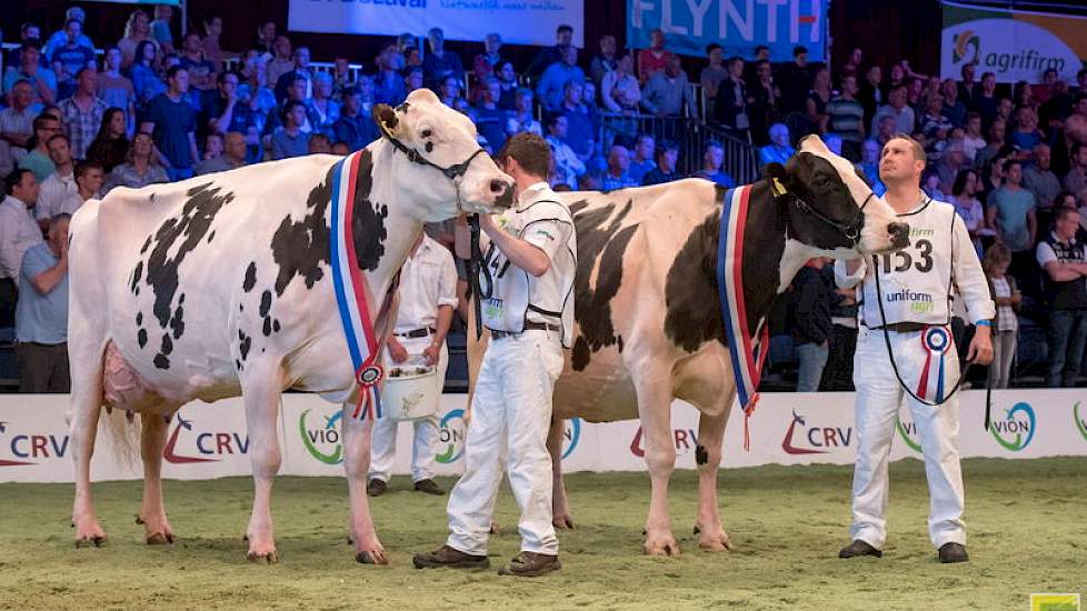 Het kampioensduo bij de oudere zwartbonten bestond uit de giganten Bons-Holsteins Ella 158 (rechts) en Jimm. Holstein Hellen 589. De eervolle vermelding was voor de fraaie Geertje 567. Overigens heeft het NRM-kampioenschap voor Koba aan een zijden draadje