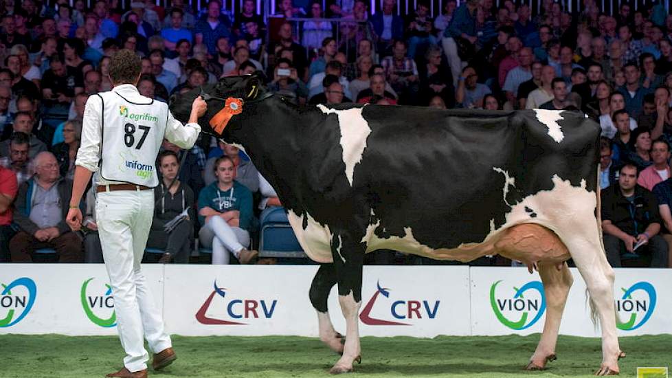 Zij werd gevolgd door Vink Blesje 162, een Goldfarmdochter van de familie Vink uit Ottoland.