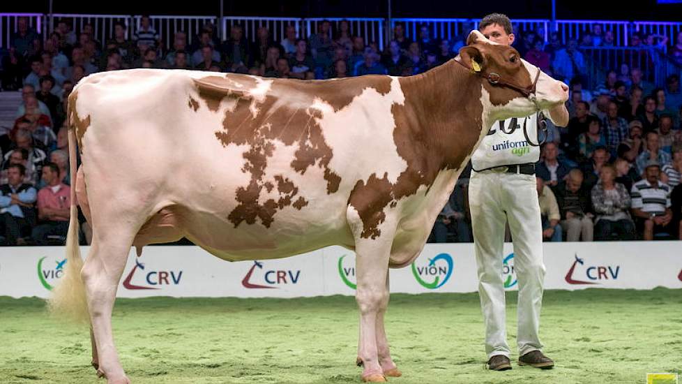 Drouner AJDH Aiko 1288 van de familie Albring uit Drouwenermond was in deze rubriek 1C. Bij de kampioenskeuring kreeg de Olympiandochter de eervolle vermelding.