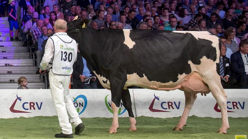 Goldwyndochter Veenhuizer Gold One van Jannes Uineken uit Dalen pakte de 1B-positie.