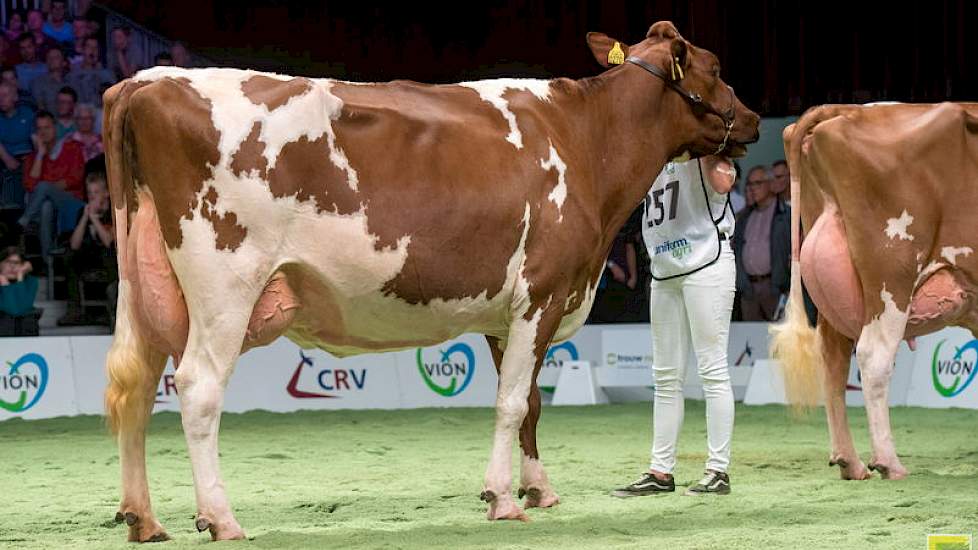 Destrydochter JU Lonia 167 kreeg de 1C-positie toebedeeld.