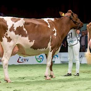 Destrydochter JU Lonia 167 kreeg de 1C-positie toebedeeld.