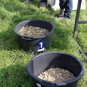 Op de voorgrond 'normaal' gehakselde maïs, op de achtergrond shredlage. De resultaten van de proef lieten zien dat de productie niet significant verschilde tussen shredlage en 'normaal'. Ook de gehaltes bleven gelijk. Het ureumgehalte in de melk bleek één