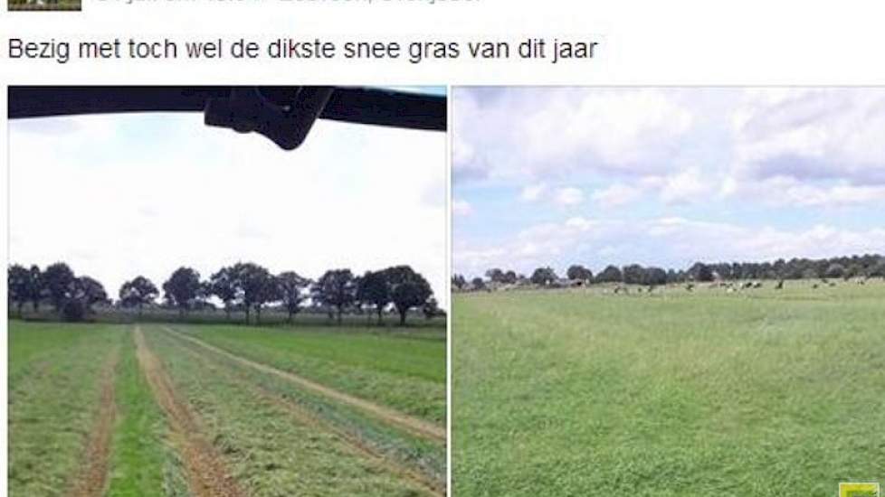 Zondagmiddag 31 juli maait Wilco Jubbega uit Eesveen (Ov.) de zwaarste snee gras van het jaar.