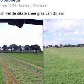 Zondagmiddag 31 juli maait Wilco Jubbega uit Eesveen (Ov.) de zwaarste snee gras van het jaar.