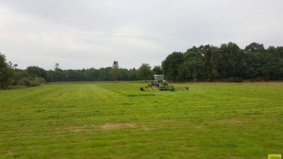 Ondanks de juni droogte lukt het ook Jan Klaassen in Wintelre bij Eindhoven de derde snee gras te maaien.