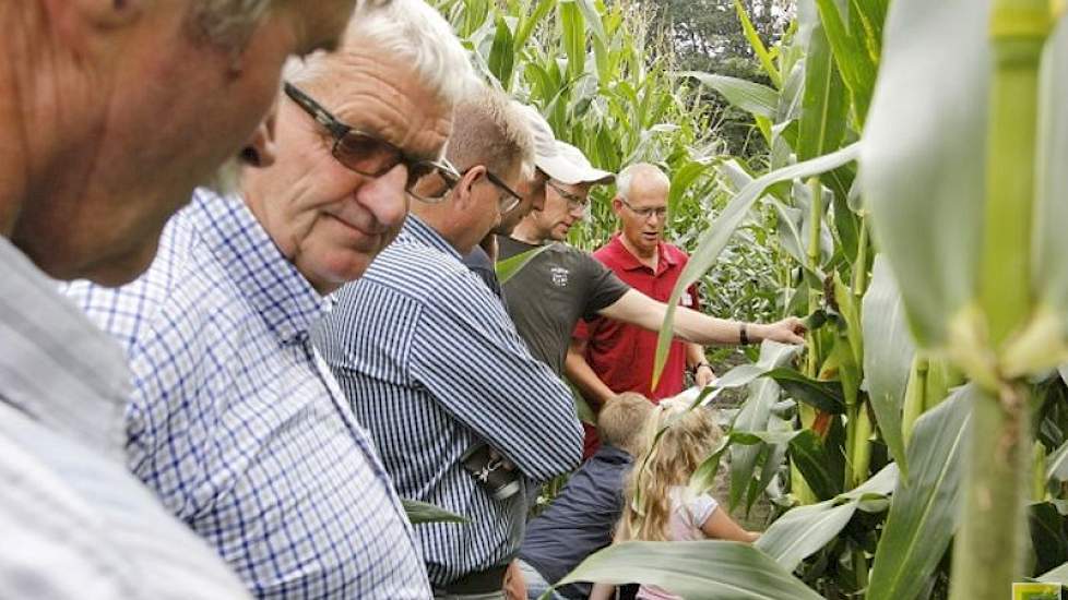 Gert Veldhorst van Delphy laat een veld zien met vijf rassen, die op drie zaaimomenten zijn gezaaid.