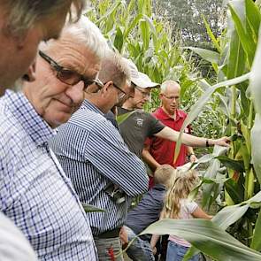 Gert Veldhorst van Delphy laat een veld zien met vijf rassen, die op drie zaaimomenten zijn gezaaid.