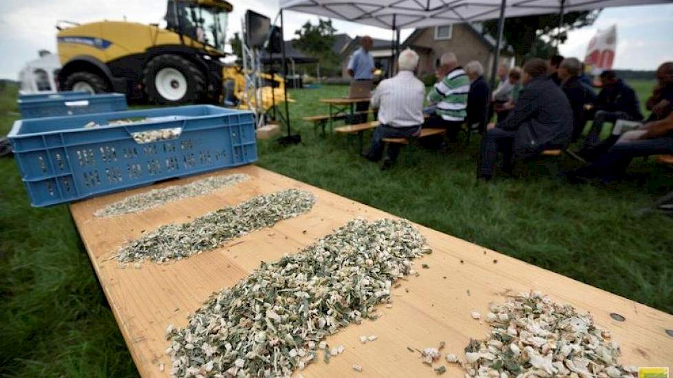 Op het proefveld had New Holland een aantal rijen mais gehakseld op verschillende lengtes, van 8 tot 20 millimeter. Vooral de maïs van 20 millimeter leverde discussie op gezien de ontwikkeling rond shredlage. 'Grof hakselen kan, maar de kans dat koeien st