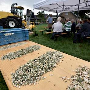 Op het proefveld had New Holland een aantal rijen mais gehakseld op verschillende lengtes, van 8 tot 20 millimeter. Vooral de maïs van 20 millimeter leverde discussie op gezien de ontwikkeling rond shredlage. 'Grof hakselen kan, maar de kans dat koeien st