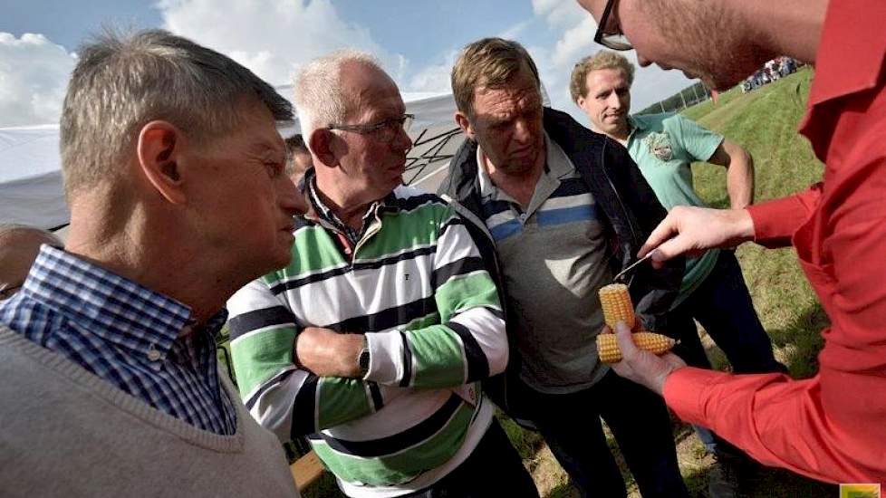 Fred Lugthart van Limagrain liet de veehouders zien hoe ze het beste de optimale oogsttijdstip kunnen beoordelen. 'Snijdt altijd de pitten door de midden', is zijn advies. 'Er in knijpen zegt te weinig over het exacte drogestof-percentage.'