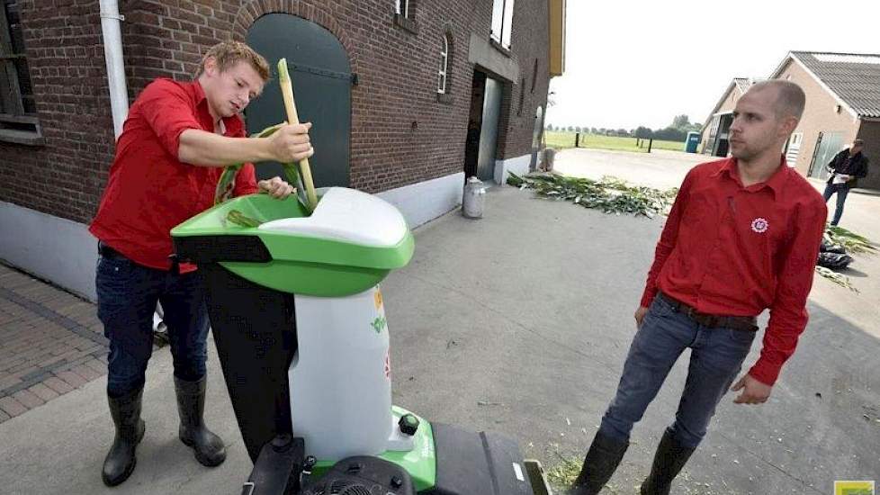 De planten werden vervolgens verhakseld en bemonsterd. Een apparaat, die realtime analyseert op basis van NIR, bepaalde het drogestof-percentage en de voederwaarde.