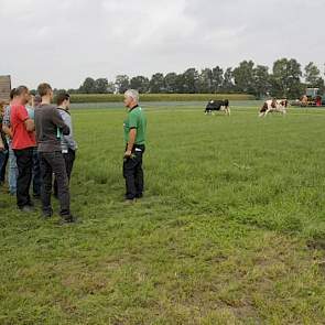 Sible van der Werf van Agrifirm gaf uitleg over de proefveldjes. Volgens hem kan rietzwenkgras in bepaalde gevallen toch interessant zijn. Het is droogteresistenter dan diploïde- en tetraploide grasrassen en het zorgt voor de nodige structuur in het rants