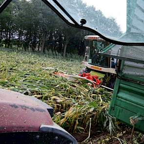 Het drogestofpercentage van de maïs is nog wat te laag. „Ik had eigenlijk 14 dagen langer willen wachten met oogsten en het in balen willen persen”, zegt Stegers. „Forfarmers denkt dat het drogestofpercentage nu op 30 tot 32 ligt.”