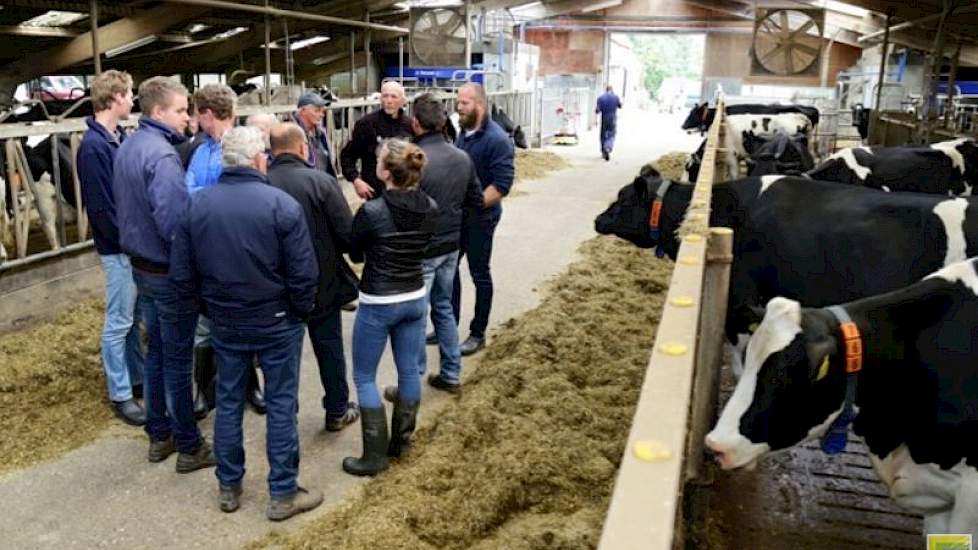 De bieten zijn niet alleen goed voor betere gehaltes – tot aan dagproducties van 35, 36 liter treedt nog geen verdunning op – maar ook voor de algemene conditie en gezondheid, ervaart de veehouder. “De vruchtbaarheid blijft mooi op peil en ze zien er gewo