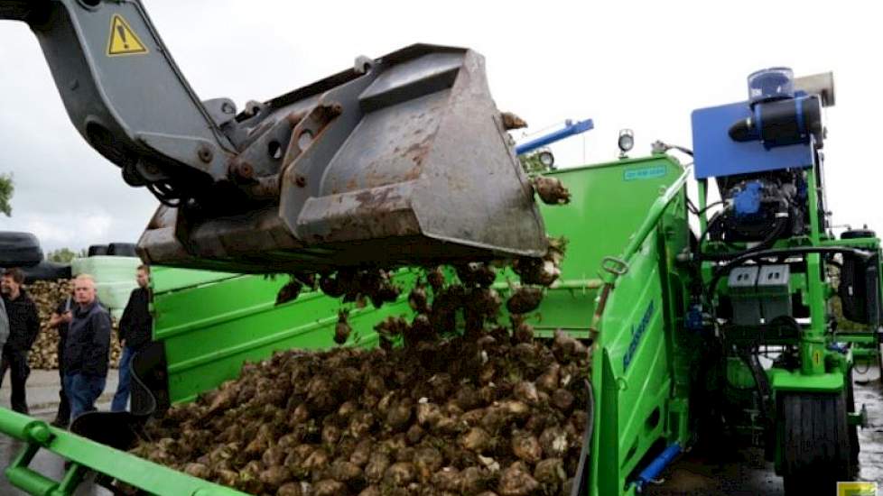 De bieten worden verhakseld tot brokken van pakweg 5 bij 5 centimeter en ingekuild in een grote slurfzak. Dit baggen wordt ook verzorgd door RosierGreidanus.