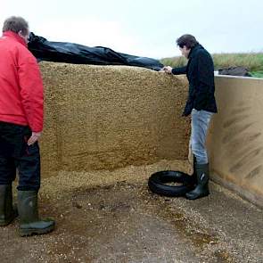 Hemstede haalde dit jaar een topopbrengst van tegen de 60 ton per hectare. De voederwaarde viel hem echter wat tegen. Het doel was om 1000 VEM en 400 gram zetmeel te oogsten. Die bleef echter steken op 964 VEM en 361 gram zetmeel. „Niet dat de voederwaard