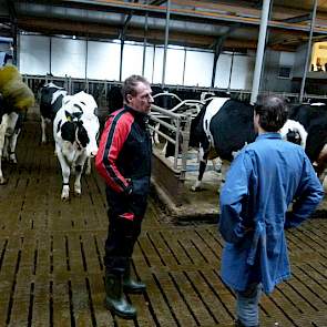 Tussen de koeien valt het Sikkema op dat de koeien mooi glimmen en een goede pensvulling hebben. „De koeien zijn gezond.”