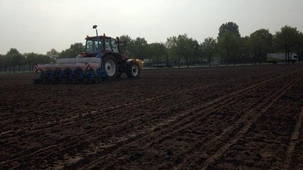 Inzaai van een etalageveld in West Brabant