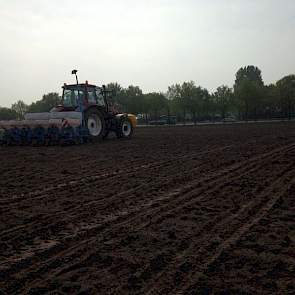 Inzaai van een etalageveld in West Brabant