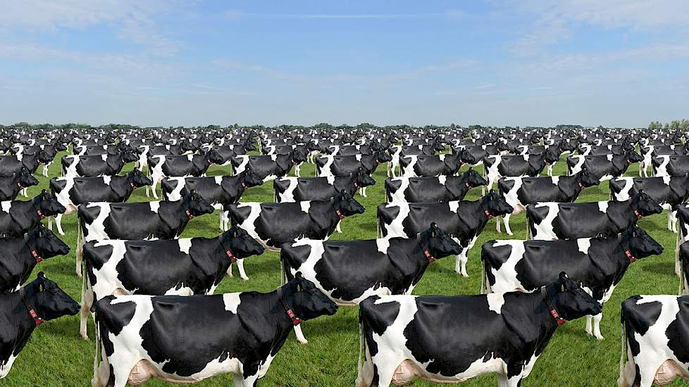 Lely All-in - De zekerheid van melken (Dutch)