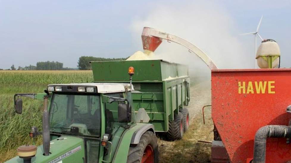 de gemalen bonen werden door melkveehouder Buijs naar zijn bedrijf gereden. Daar bewaart hij het eiwit-en zetmeelrijke product in een aparte lage sleufsilo