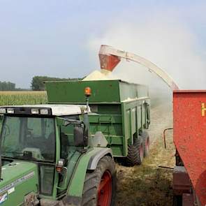 de gemalen bonen werden door melkveehouder Buijs naar zijn bedrijf gereden. Daar bewaart hij het eiwit-en zetmeelrijke product in een aparte lage sleufsilo