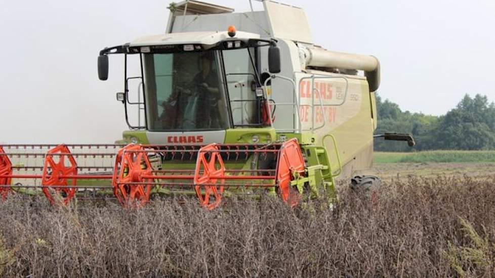 Begin augustus dorste de loonwerker de winterveldbonen