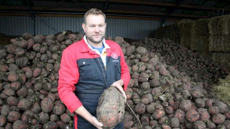 melkveehouder Robert Welhuis zou voederbieten niet meer willen missen in zijn rantsoen