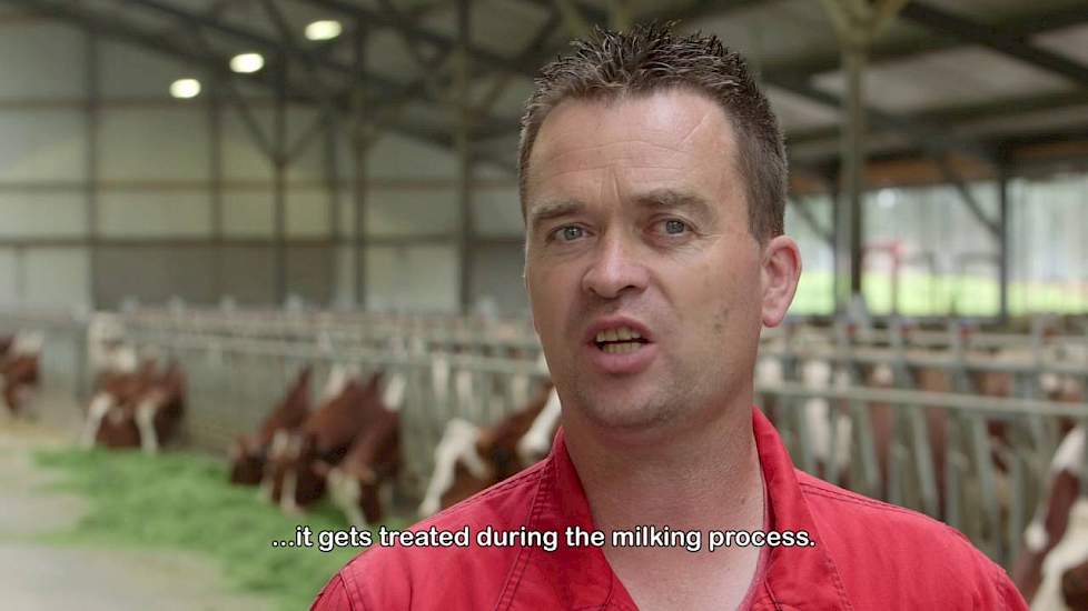 Lely Meteor - experience dairy farmer - English / Netherlands