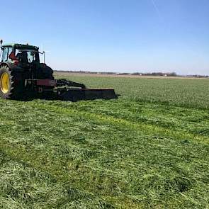 Dit jaar maaide een melkveehouder in Biddinghuizen al op 27 maart een mooie 1e snede Havera 2, in 2016 ingezaaid na de oogst van uien