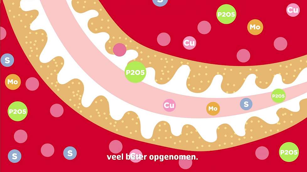 Nieuw: STARCOVER TSSV2 zaadcoating voor mais