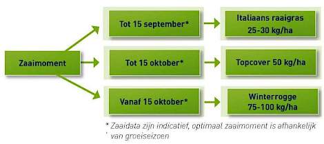 Afbeelding: Keuzeschema vanggewas