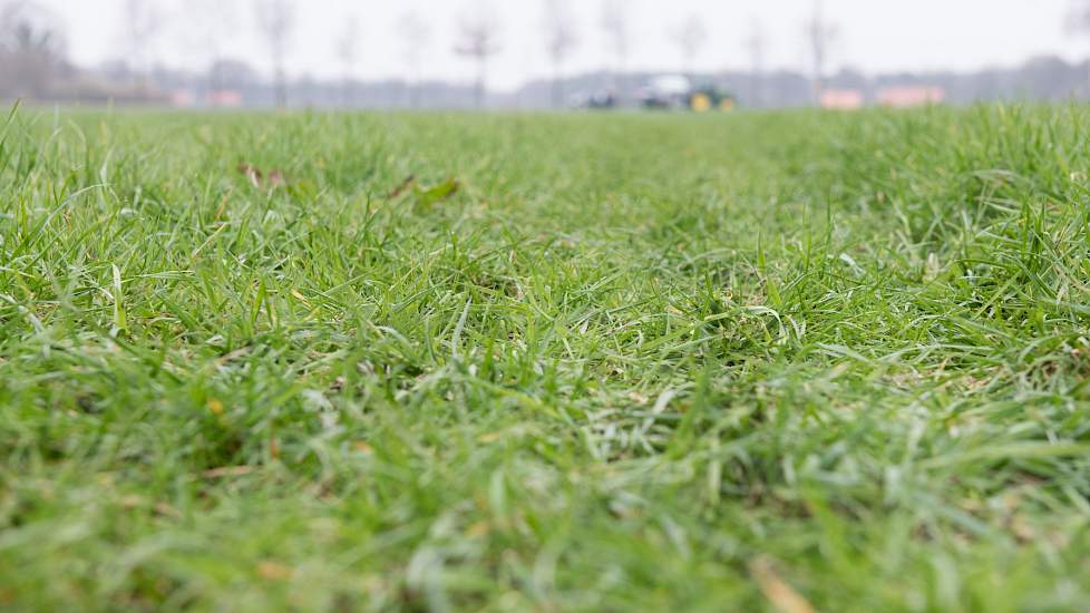 Doel van het project is om ervoor te zorgen dat boeren in een bepaalde regio hun eigen mestoverschot kunnen hergebruiken en dat zij geen kunstmest meer hoeven aan te kopen.