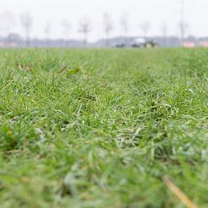 Doel van het project is om ervoor te zorgen dat boeren in een bepaalde regio hun eigen mestoverschot kunnen hergebruiken en dat zij geen kunstmest meer hoeven aan te kopen.