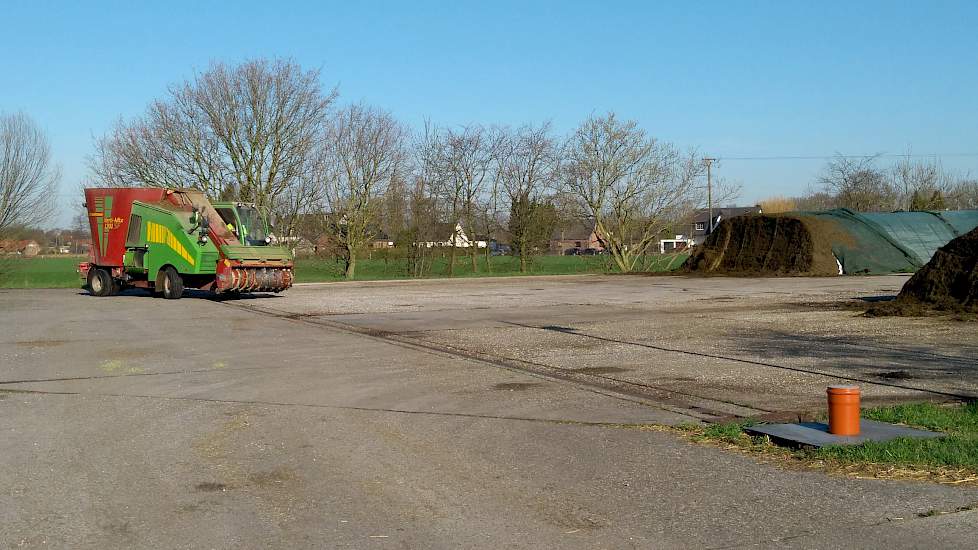 De dieren worden gevoerd met een zelfrijdende Strautmann-voermengwagen. Het basisrantsoen bestaat momenteel uit maïs, tarwe, gras en gerst.