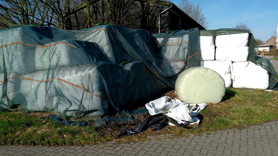 Ook in Duitsland zijn de milieu-eisen streng. Wanneer er geen kuilplaat beschikbaar is, mag het kuilgras - vanwege het risico op uitspoeling - niet op zand ingekuild worden. Deze regelgeving resulteert bij Haus Riswick in een enorme hoeveelheid kuilbalen.