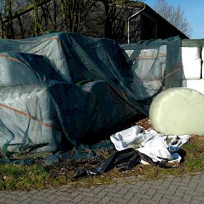 Ook in Duitsland zijn de milieu-eisen streng. Wanneer er geen kuilplaat beschikbaar is, mag het kuilgras - vanwege het risico op uitspoeling - niet op zand ingekuild worden. Deze regelgeving resulteert bij Haus Riswick in een enorme hoeveelheid kuilbalen.