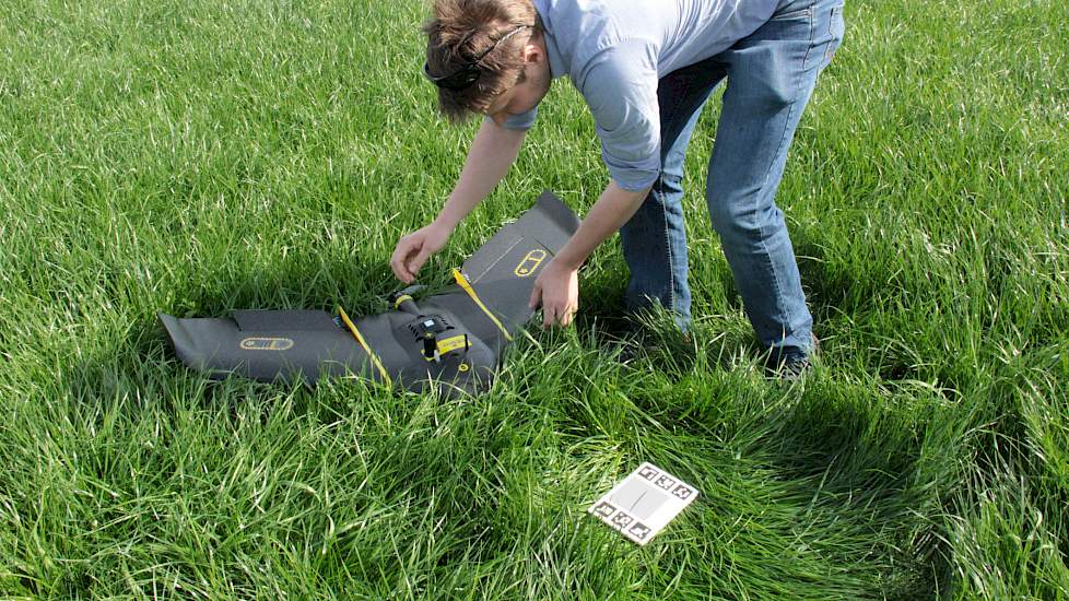 Een buizerd vliegt richting drone en hoopt op thermiek daar waar de drone een bocht maakt. Dronewerker Leks Bolderdijk is niet bang voor buizerds, maar scholeksters die hun nest verdedigen vormen wel een bedreiging voor de drone, die kan worden aangezien