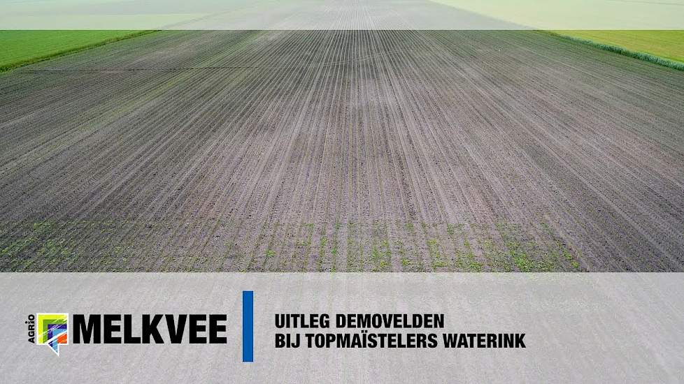 Uitleg demovelden bij Topmaïstelers Waterink