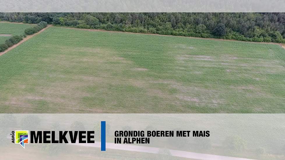 Grondig boeren met mais