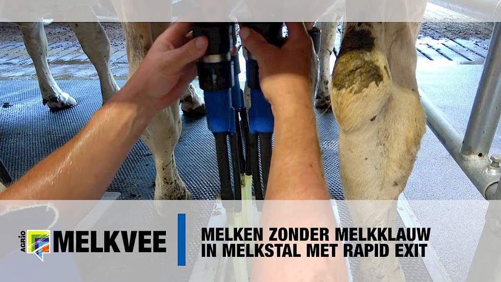 Melken zonder melkklauw in melkstal met Rapid Exit