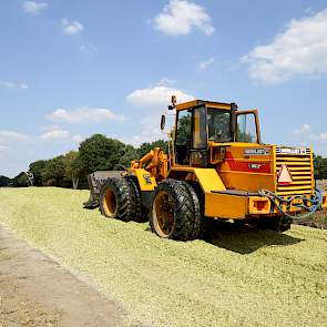 Door de matige hoeveelheid oogst, is Hulshof genoodzaakt extra voer aan te kopen. „Ik heb al perspulp besteld en er is ook een combinatie hooi onderweg. Zo hoop ik de winter door te komen.”