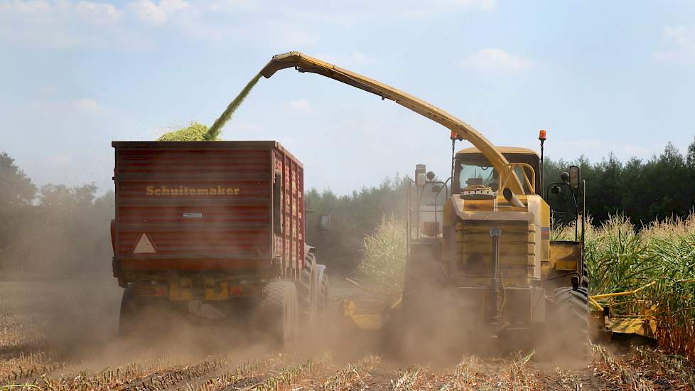 Het is enorm droog op het land van Stephan Hulshof uit Eibergen. Zo droog, dat hij besloot het gewas te oogsten. „Ik vewacht dat de kwaliteit van de snijmaïs alleen maar slechter wordt, wanneer ik het zou laten staan”, zegt hij.