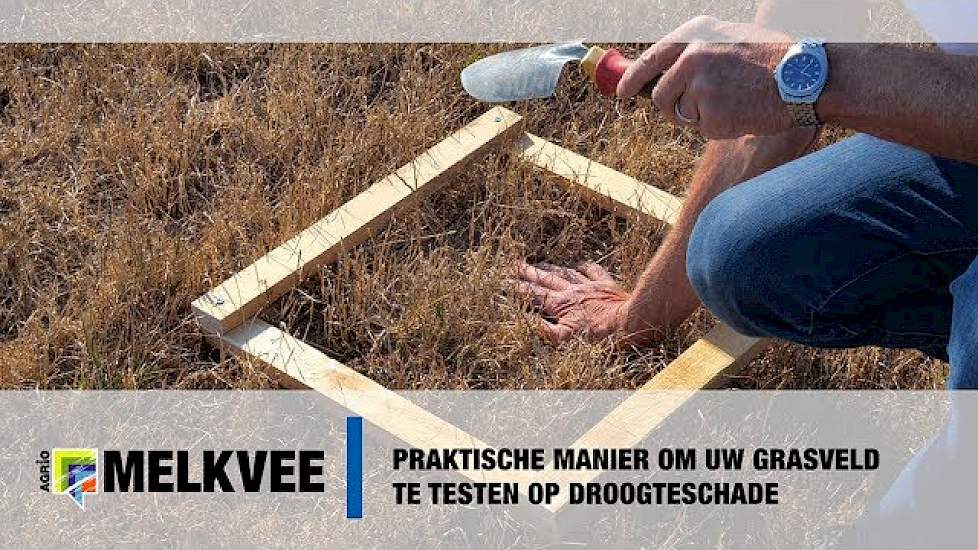 Praktische manier om grasveld te testen op droogteschade